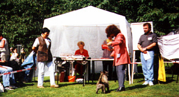 Cairn Terrier Ausstellung